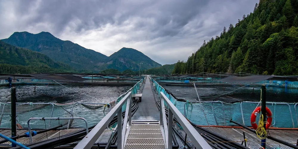 A salmon farming operation at Grieg Seafood in British Columbia.