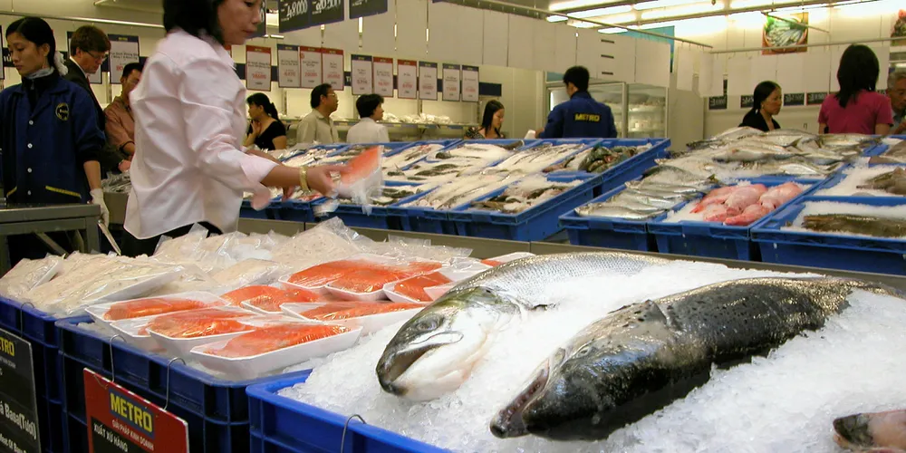 No collusion, salmon players insist -- just higher demand than supply.