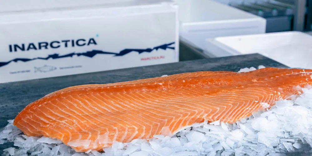 Inarctica's growth in profit and revenue was driven by a 10 percent increase in sales volumes.