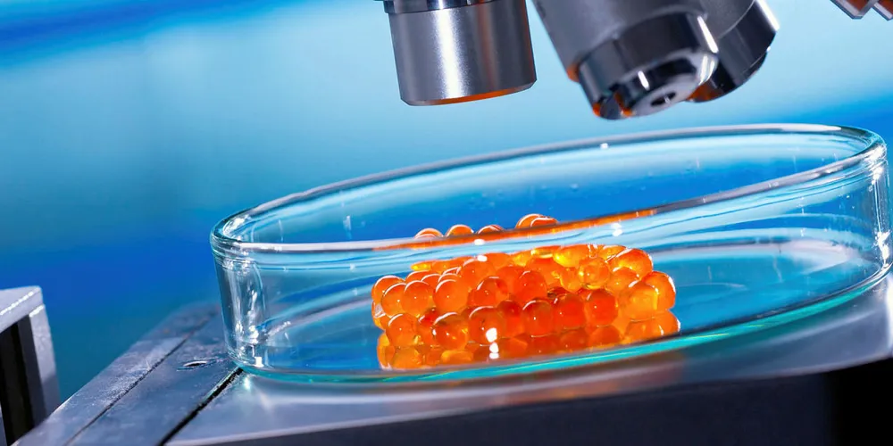 Cuna del Mar's acquisition puts it firmly under the R&D microscope.