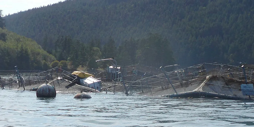 Cooke broken salmon pen earlier this year.