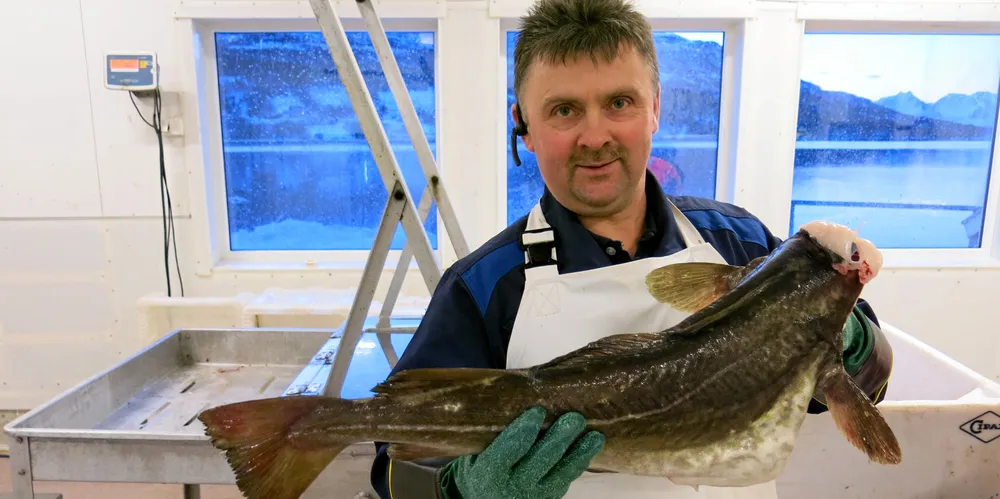 LAGSPILLER: Daglig leder og eier av Karls Fisk og Sjømat, Karl Albert Hansen, ber myndighetene støtte bedre opp om bedrifter som omsetter ferskfisk i disse koronatider.