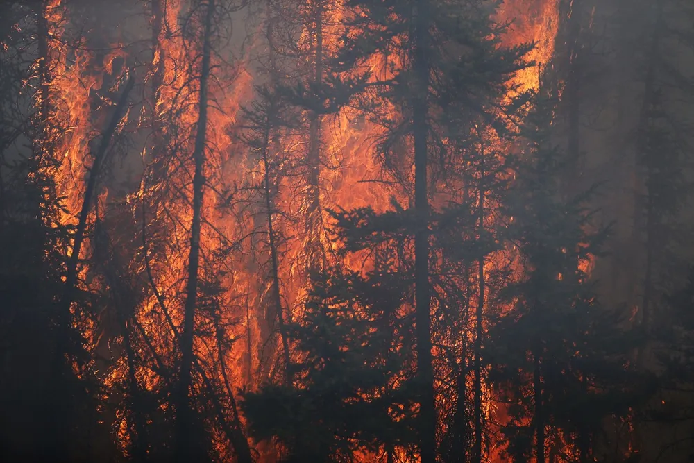 Fire: Alberta's Fort McMurray