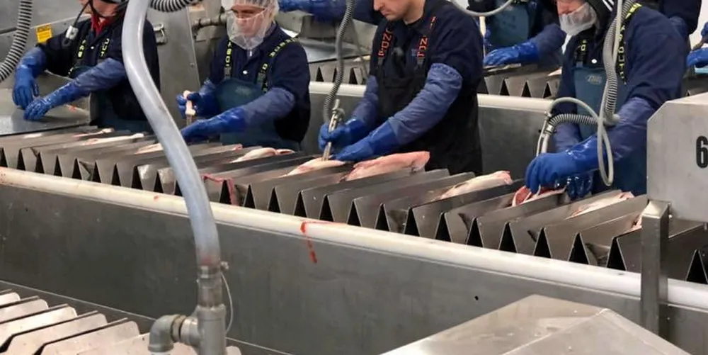 Workers at OBI's Wood River salmon processing facility. A class action suit has been filed against the Cooke-Bristol Bay Economic Development (BBEDC) group for alleged wage theft by workers at the group's Naknek, Alaska operation.