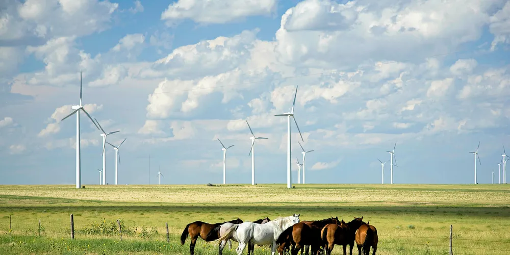 An Avangrid wind farm in the US