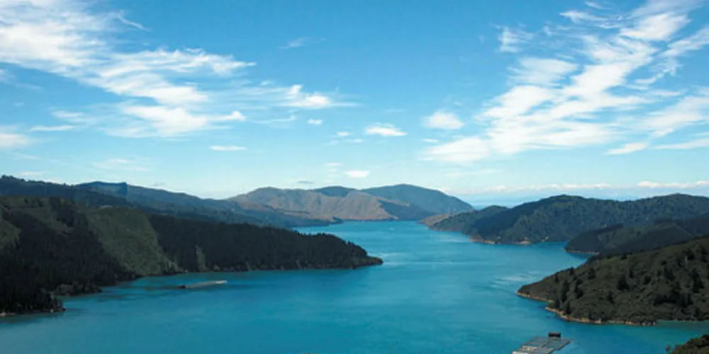 NZ King Salmon said its COO will leave the country for family reasons.