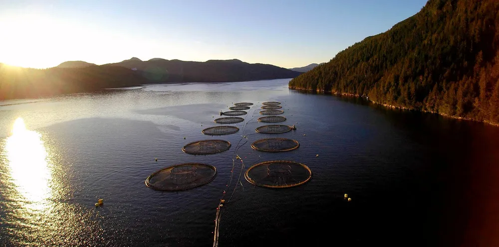 Mowi Canada West's Sheep Pass salmon farming operation in British Columbia.