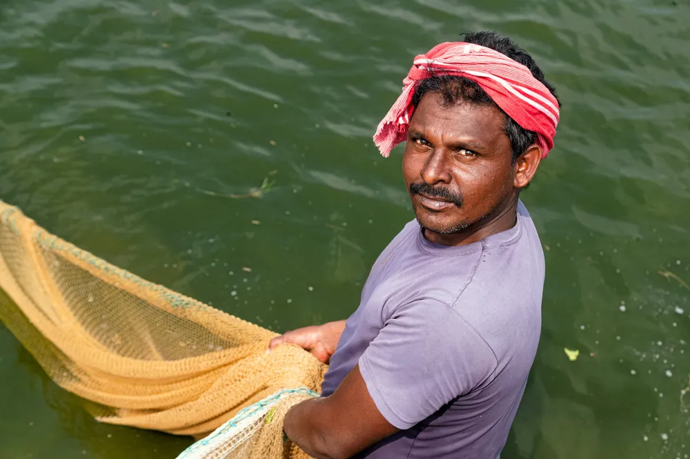 Since peaking at 930,000 metric tons in 2021, India’s shrimp production has stagnated in recent years as prices have decreased.