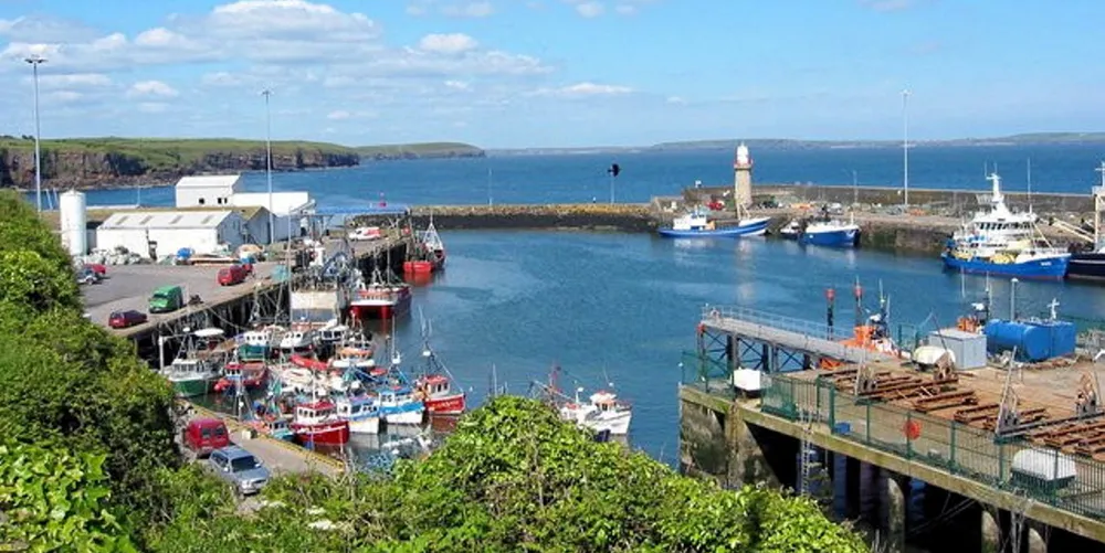 Fiskefartøyene i havnen Dunmore East, sørøst i Irland, er avhengige av å fiske i britisk farvann, noe de ikke får gjøre i samme omfang som tidligere etter brexit.