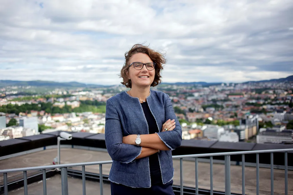Stryking og støvsuging topper Tone Willes liste over ting som er kjedelig å gjøre. Foto: Javad Parsa