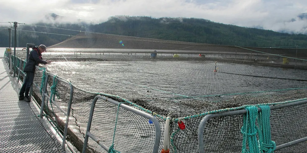 BC Salmon Farmers Association: Transition to closed-containment farms is 'unachievable'