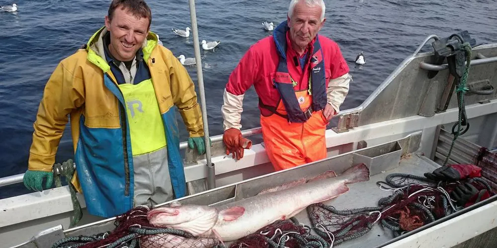 TAR PRØVER: Årlig tar Havforskningsinstituttet prøver av fisk og skalldyr nær ubåtvraket som ligger på 150 meters dyp vest av Fedje. Til venstre: fisker Ingmar Bakken bistår havforskerne med å samle inn prøver av fisk. Til høyre; havforsker Jarle Vedholm.Foto: Havforskningsinstituttet