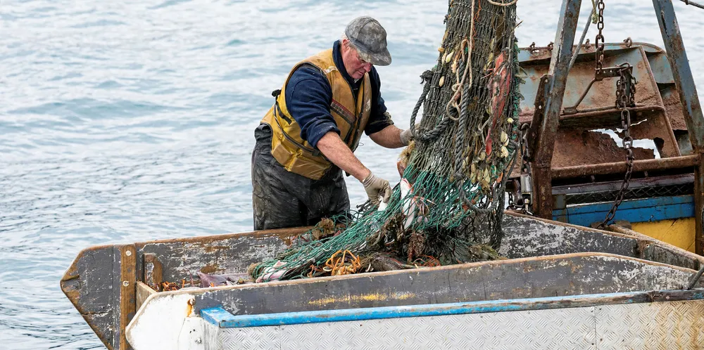 Fisherman sorting through net.