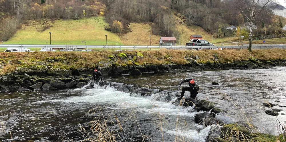 Her jobbes det med gjenfangst etter en lakserømming fra Aller Aqua i Vadheimsfjorden 2022.