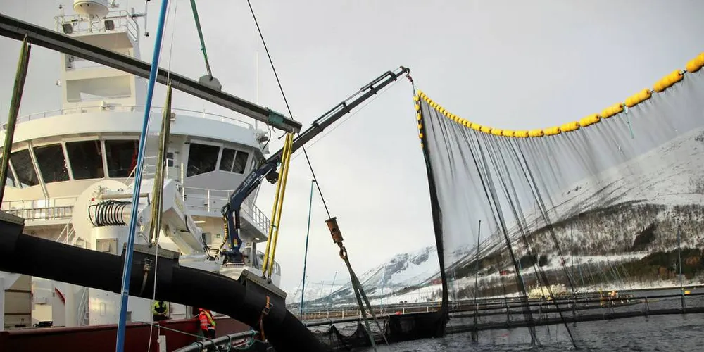 NYTT SAMARBEID: NSL og Kystrederiene inngår allianse, og blir en organisasjon som representere en omsetning på 40 milliarder kroner. Foto: Anders Furuset