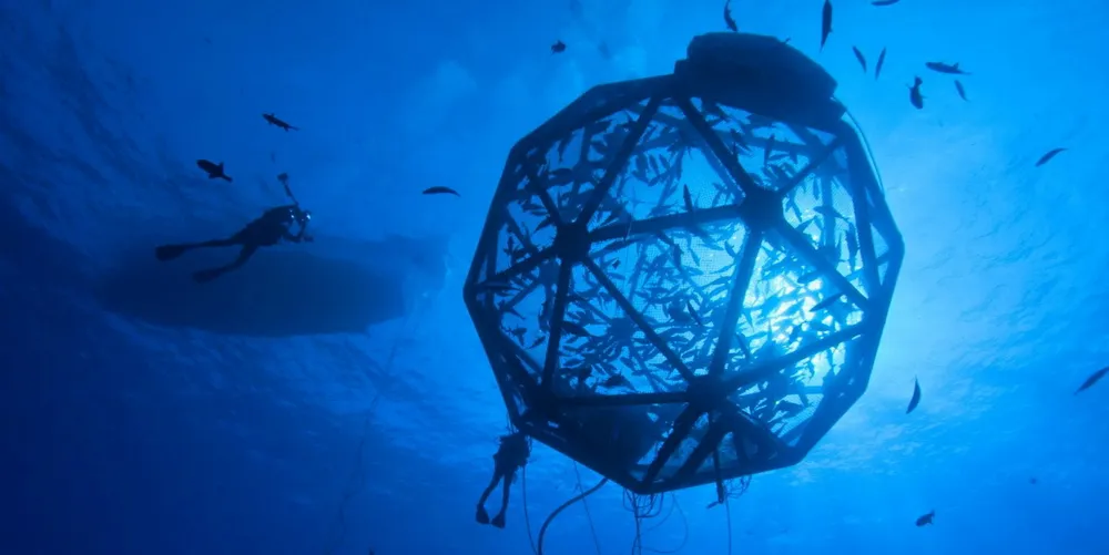 The Velella Beta test was the world’s first unanchored “drifter” fish pen, and was recognized by TIME Magazine as one of the 25 Best Inventions of the Year in 2012.