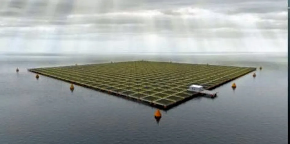 Equinor tar stadig flere grep mot fornybar energi. Nå vil de satse på flytende solkraftproduksjon utenfor Frøya.