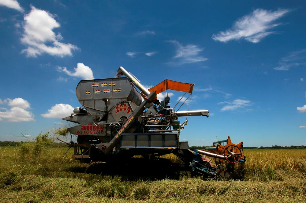 Agriculture: a farmer harvests his rice field in Ayutthaya province, 80 kilometres north of the Thai capital Bangkok
