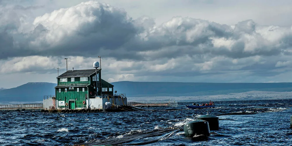 Top execs: Australis acquisition sets valuation of Chilean salmon companies at the right level