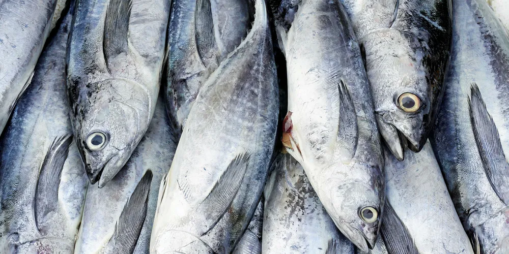 Several hundred million tuna steaks, pouches and cans will be able to have their origin traced and verified via blockchain.