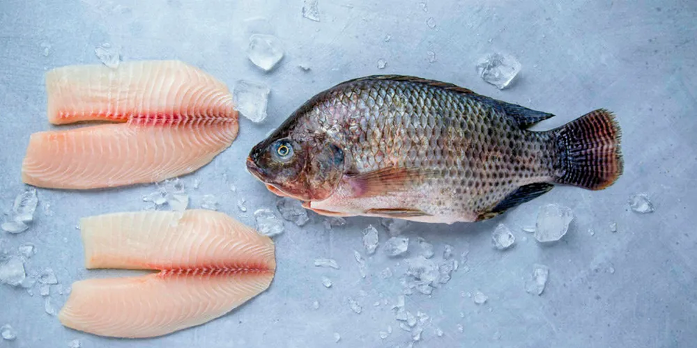 Hormone-free tilapia.