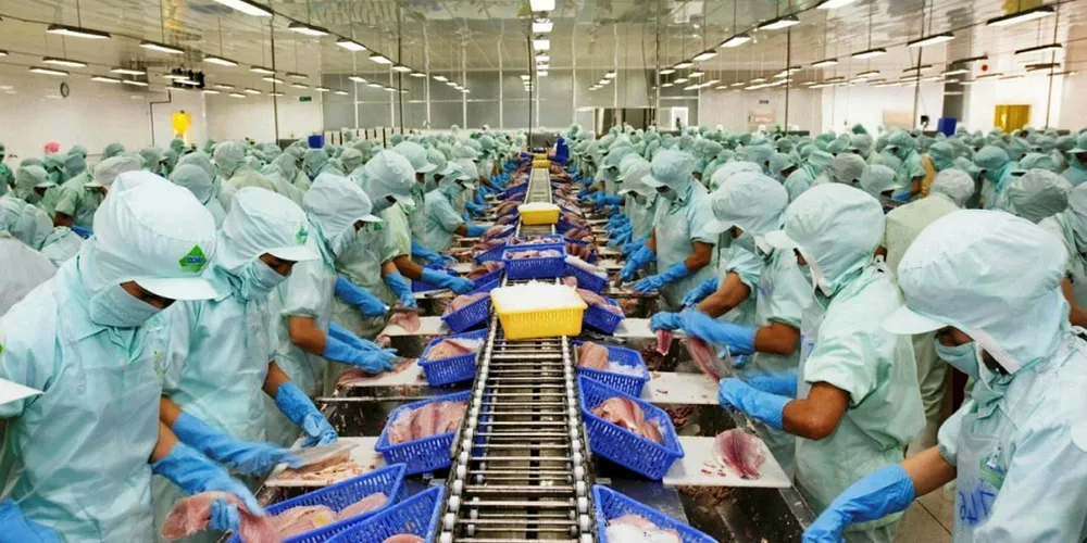 Vietnam processor