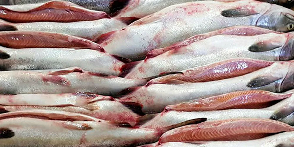 Russian fish box.