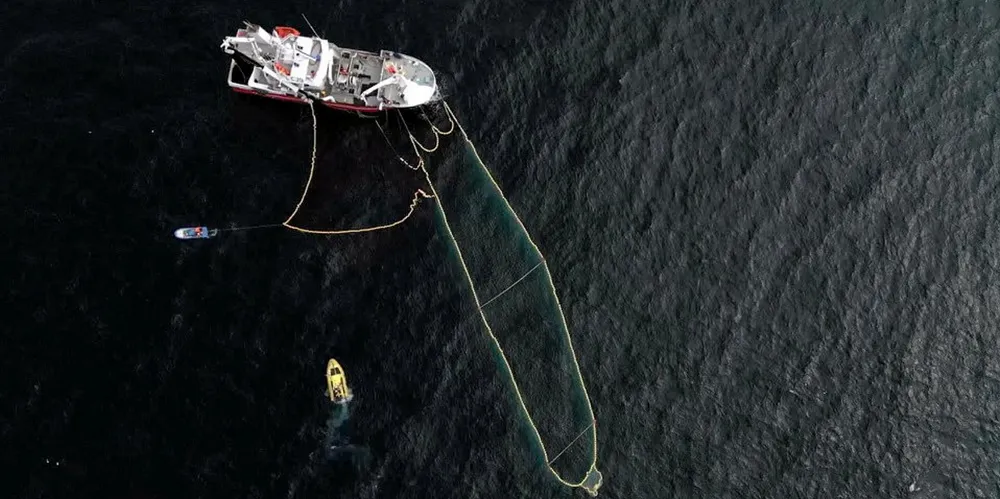 18. august klarte forskerne fra Havforskningsinstituttet, fiskebåten «Vestbris» og Fiskeridirektoratets «Fjordgyn» å overføre én makrellstørje fra not til en egenutviklet transportmerd, som de tauet til land. Merden kan fint romme 50 fisk.