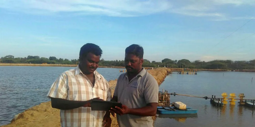 Going digital: Aqua Connect wants to help shrimp farmers in India to sell their products.