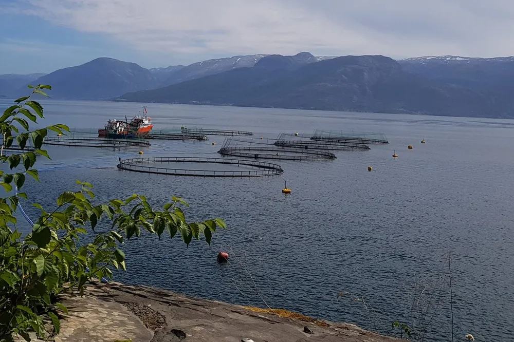 Tombre fiskeanleggs lokalitet Teigland I. Her var selskapet sist over lusegrensen i 2016.