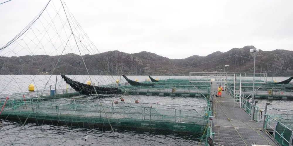Marine Harvest i Flekkefjord hadde ikke avlust siden 2010 da de måtte frem med lusebehandlinger igjen høsten 2016. Nå håper alle de er lenge til neste gang. Foto: Kjersti Kvile