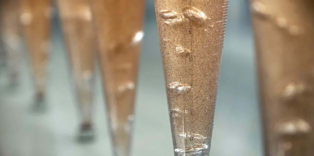 Artemia technologies.