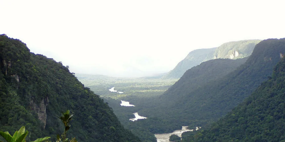 The Brazilian state of Roraima is served by a power link from Venezuala.