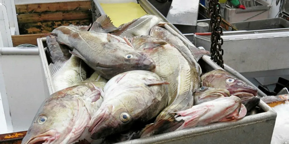 Nordic Group's seafood supplier network is in northern Norway.