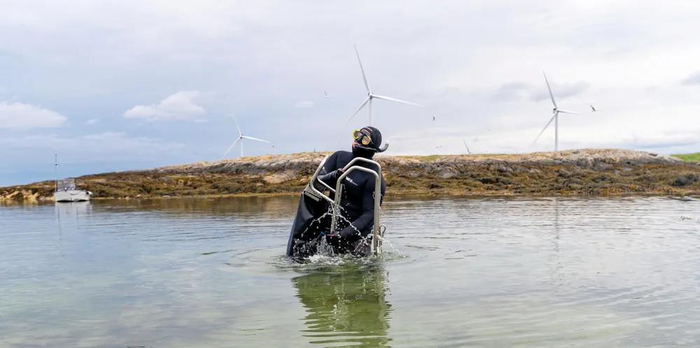 Jon Eirik Brennvall med den selvdesignede plukkeselen for strandsnegl. Under vindturbinene bak skal Statsnail AS sette opp landbaserte oppdrettsbasseng for strandsnegl.