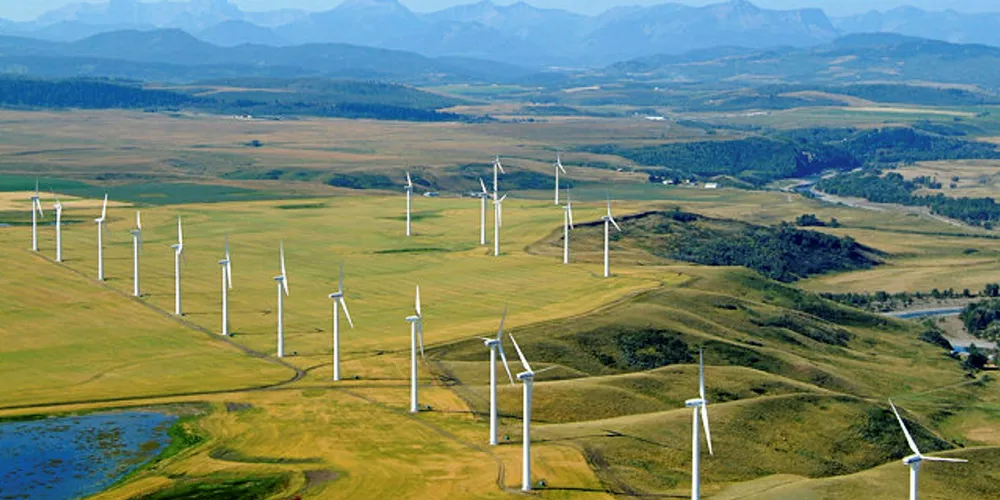 A TransAlta wind farm in Alberta