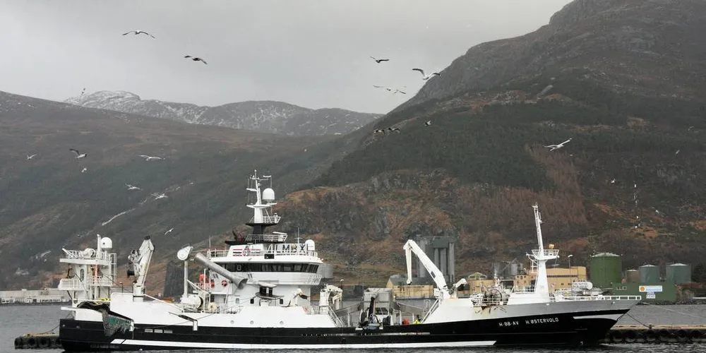 USTABILT: - Det er ikke særlig god butikk å drive pelagiske trålere, sier reder Ivar Taranger. Her er «H. Østervold» før den ble solgt til Magnarson AS.Arkivfoto: Rune Kvamme