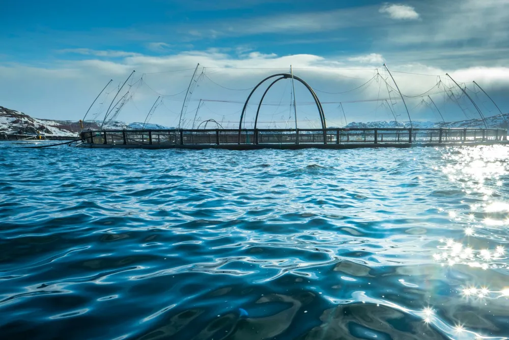 Inarctica farms salmon in the Barents Sea, off the coast of Russia's Murmansk region.