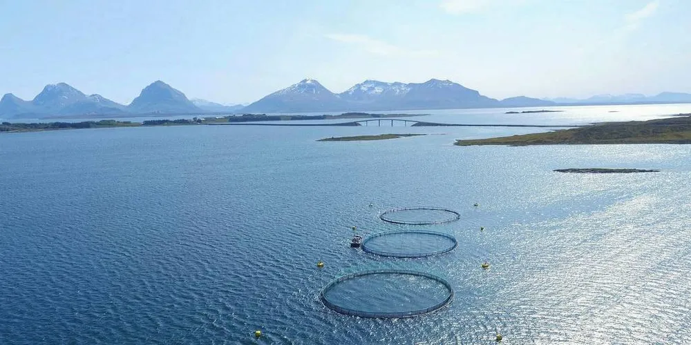 FISKERI OG HAVBRUK: AP fortsetter å pøse med «tiltak» som ikke har virket noe særlig på 50 år, mener innsender. Foto: Nekton Havbruk