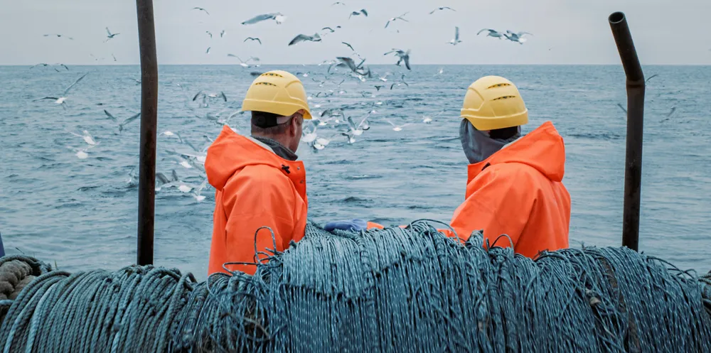 Environmental organizations are urging the EU to ban bottom trawling in the EU’s upcoming action plan for the oceans.