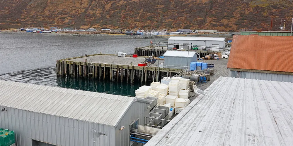 Peter Pan Seafoods is closing its largest seafood processing facility indefinitely after failing to find a buyer for the site.