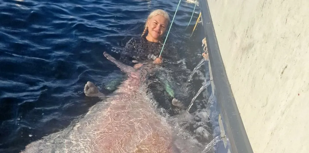 Kine Stoa var med fisker og samboer Martin Leon Værø på båten onsdag da de fikk enda en storkveite på rundt 250 kilo utenfor Finnmark. Denne gangen var det Kine som badet med den.