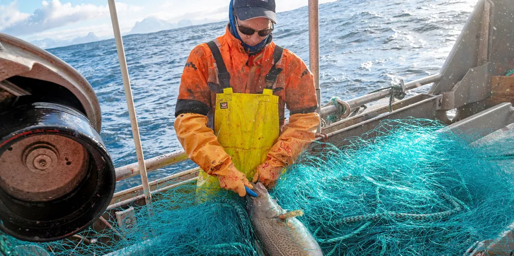 Torsken har fått tilbake miljømerkingen MSC, noe som er svært godt nytt for torskenæringen. Nå forsvinner et potensielt salgshinder i de bærekraftsbevisste markedene ute i verden.