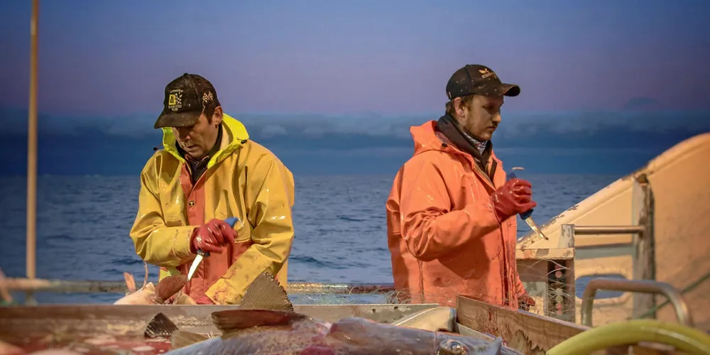 FÅR FORTSETTE: Kystfiskeflåten utenfor Nord-Troms og Finnmark kan fortsette fisket på ferskfiskordningen.