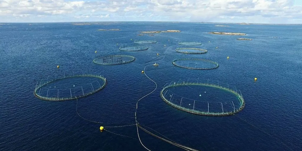 Oppdrett: Det er fornuftig å la havbruksnæringen vokse med konkurransedyktige rammebetingelser. Så blir det en større verdiskapingskake å dele, skriver dagens gjest.Illustrasjonsfoto: Maritime Robotics