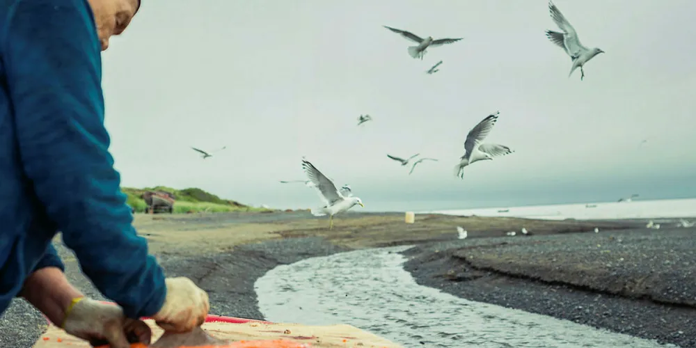 Bristol Bay Native Corporation opens up new era.