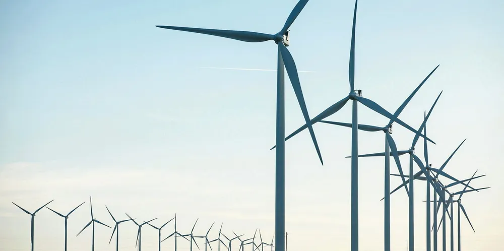 Vestas turbines.