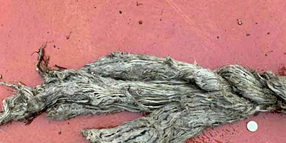 The breakage of mooring rope is being cited as a cause of the incident.