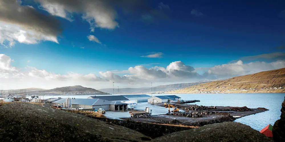 Bakkafrost consolidates moves toward sustainability