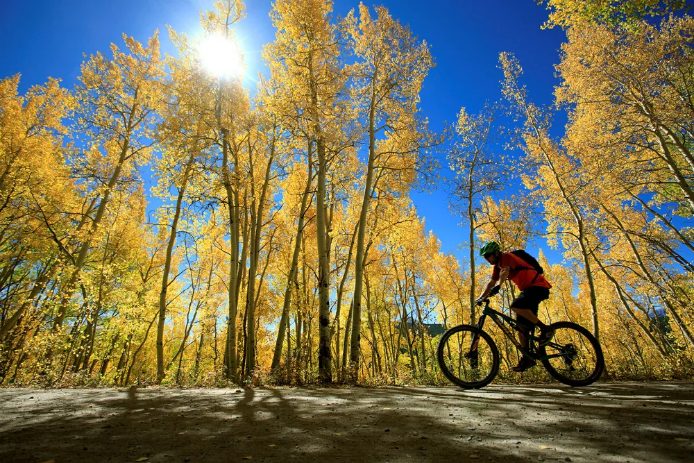 Fresh project: Aspen's Austin Chalk system